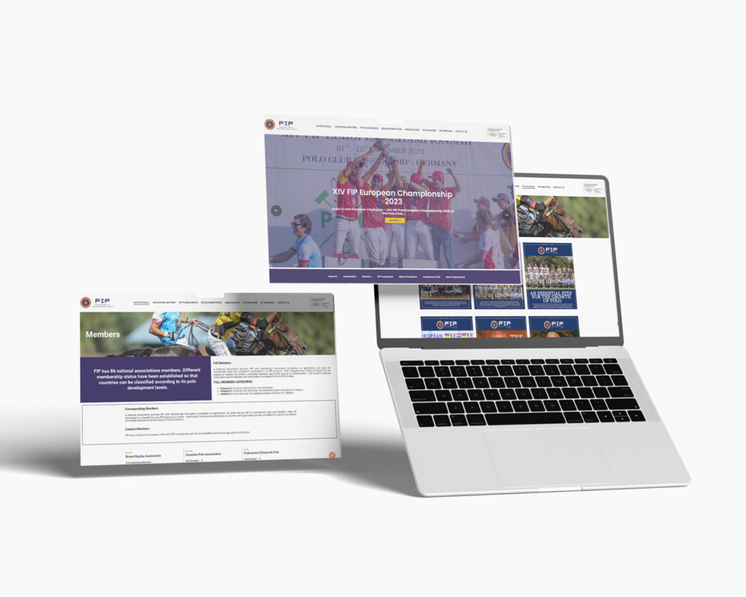 Diseño de sitio WEB de FIP POLO INTERNACIONAL