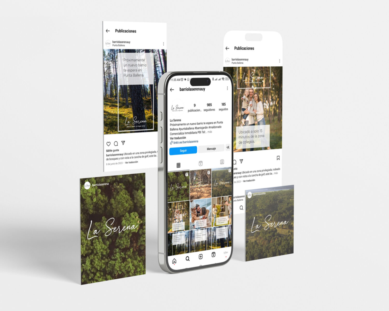 Diseño y creación de social media para La Serena